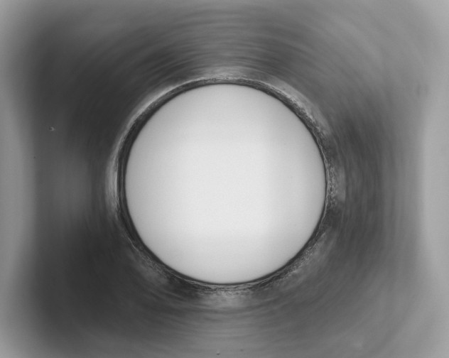 X0000101461078200807280954