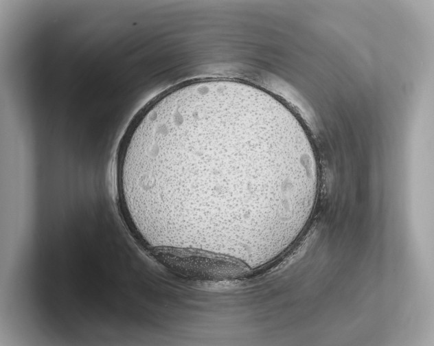 X0000101461079200807280954