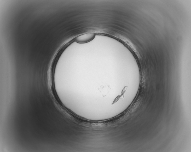 X0000101461080200807280954