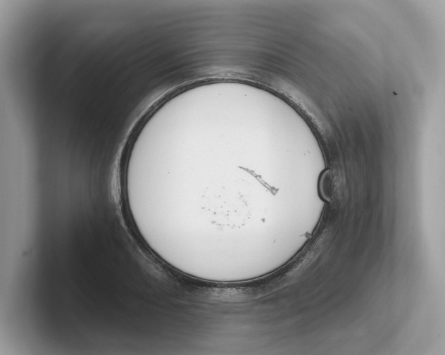 X0000101461082200807280954