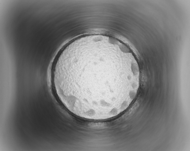 X0000101461083200807280954