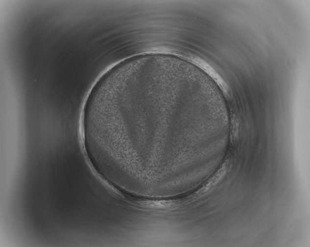 X0000101461084200807280954