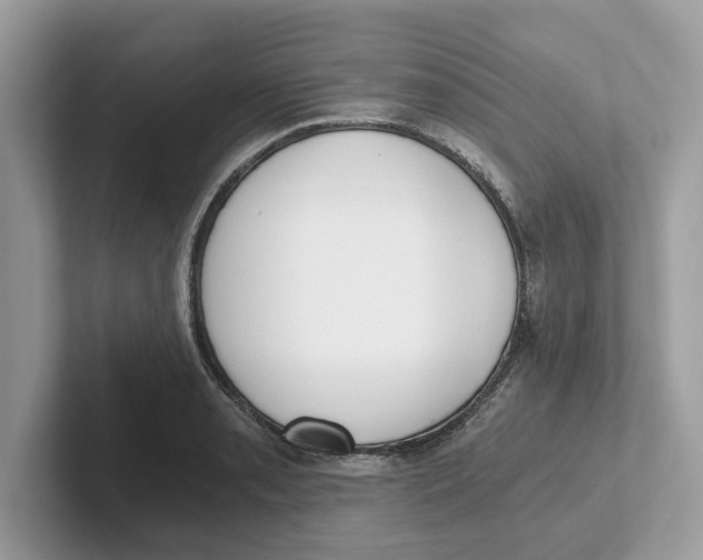 X0000101461085200807280954