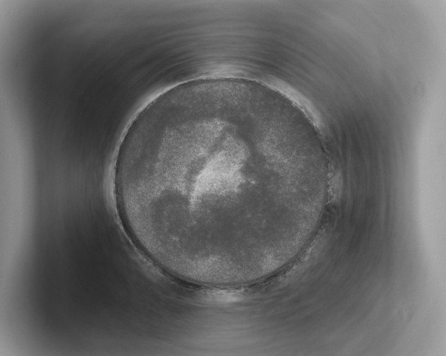 X0000101461086200807280954