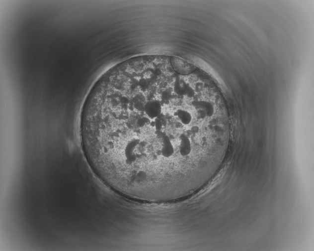 X0000101461087200807280954