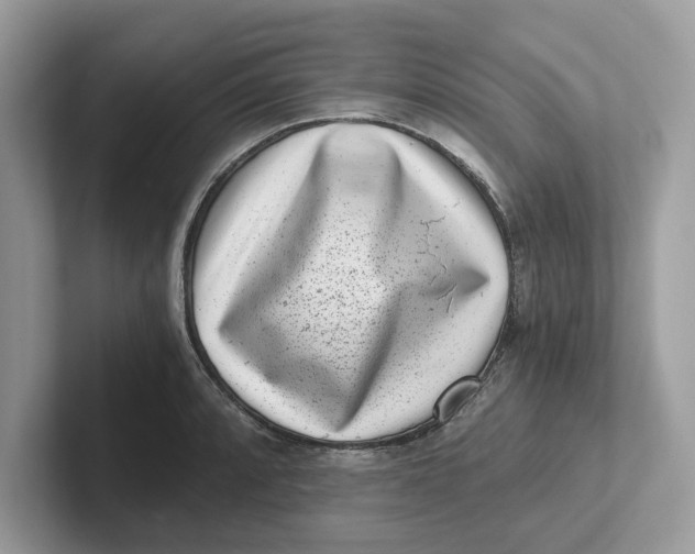 X0000101461088200807280954