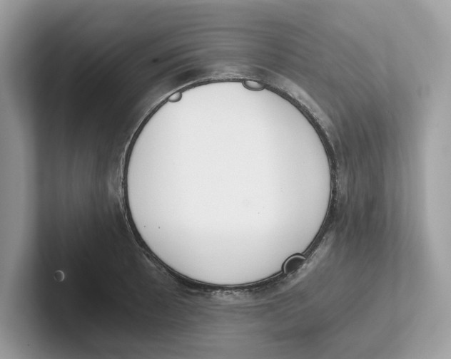 X0000101461089200807280954