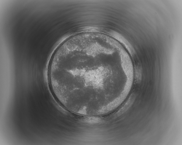 X0000101461090200807280954