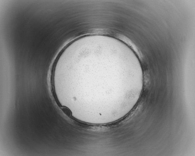 X0000101461091200807280954