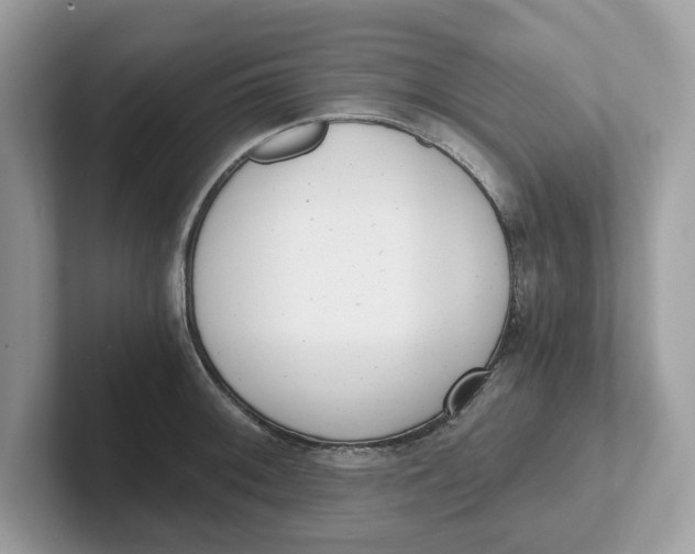 X0000101461092200807280954