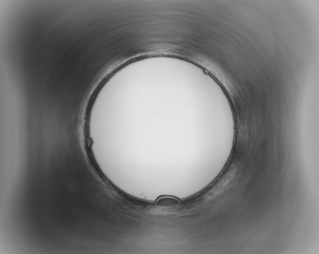 X0000101461093200807280954