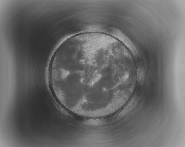 X0000101461094200807280954