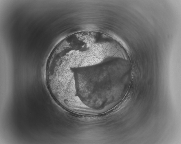 X0000101461095200807280954