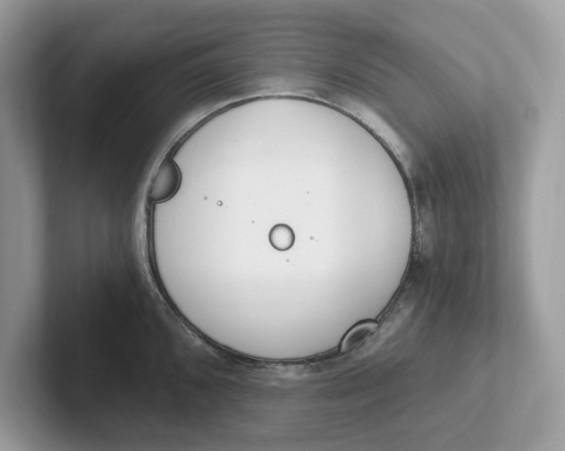 X0000101461096200807280954