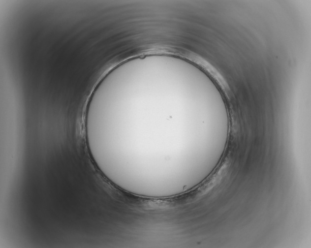 X0000101461097200807280954