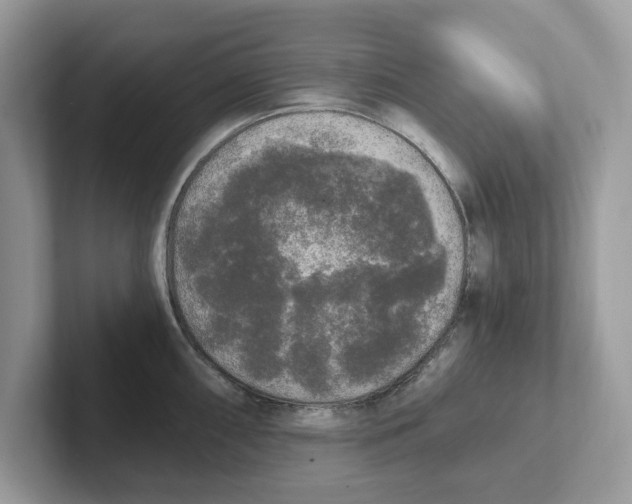 X0000101461098200807280954