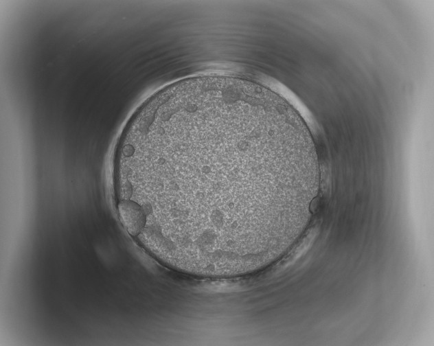 X0000101461099200807280954