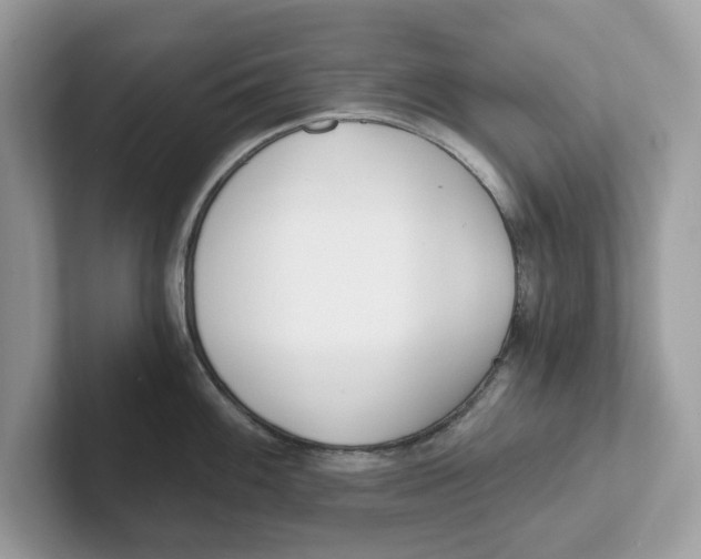 X0000101461100200807280954