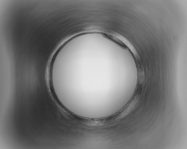 X0000101461101200807280954