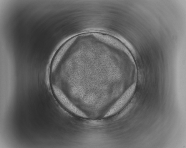 X0000101461102200807280954