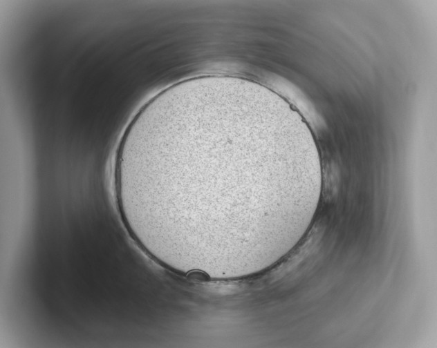 X0000101461103200807280954