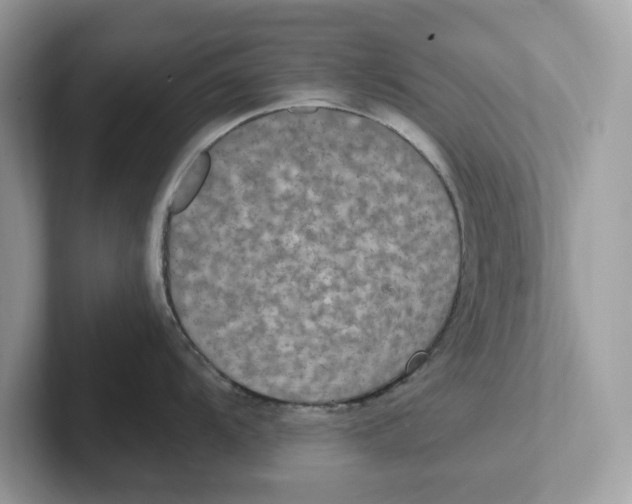 X0000101461104200807280954