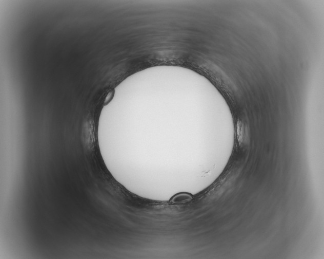 X0000101461107200807280954