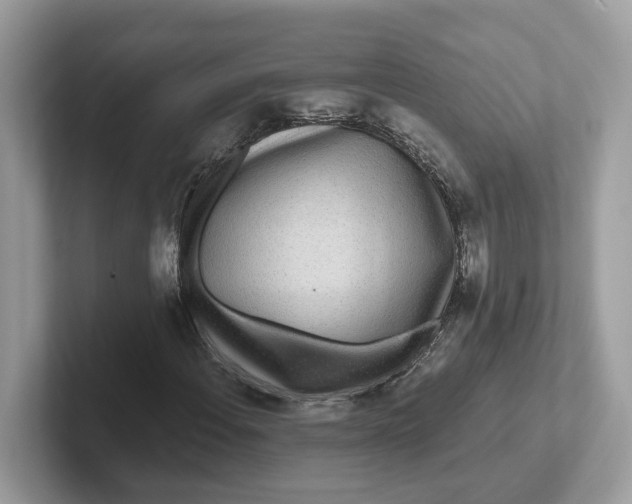 X0000101461108200807280954