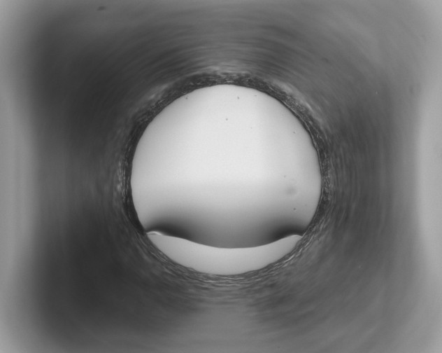 X0000101461110200807280954