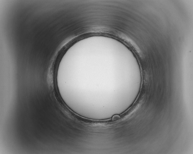 X0000101461114200807280954