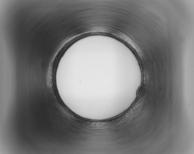 X0000101461116200807280954