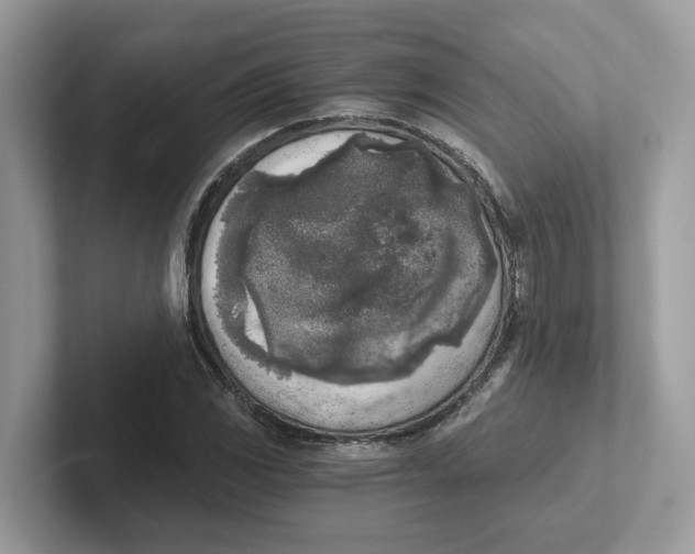 X0000101461117200807280954