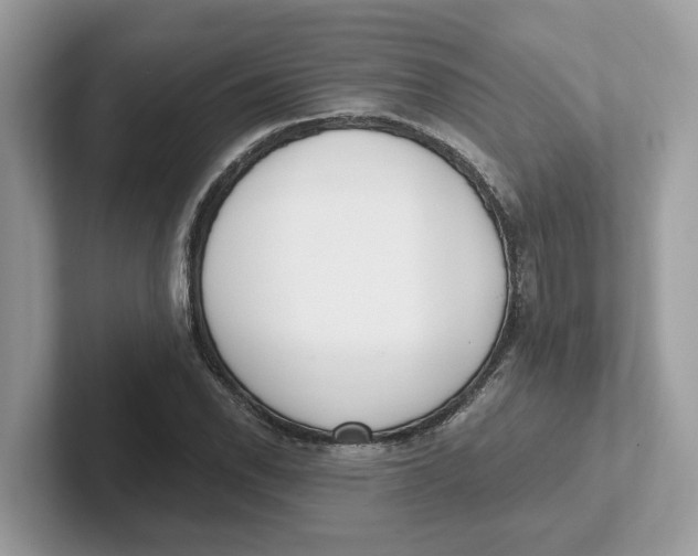 X0000101461118200807280954