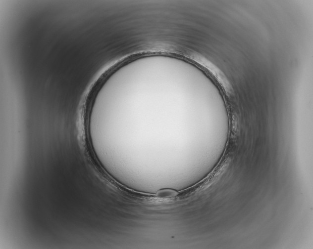 X0000101461120200807280954