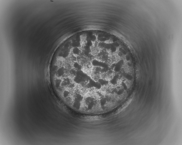 X0000101461121200807280954