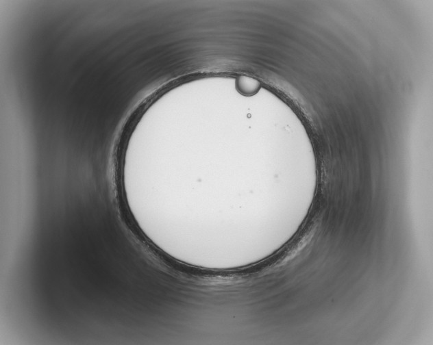 X0000101461122200807280954