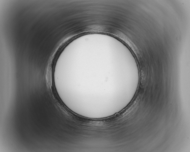 X0000101461123200807280954