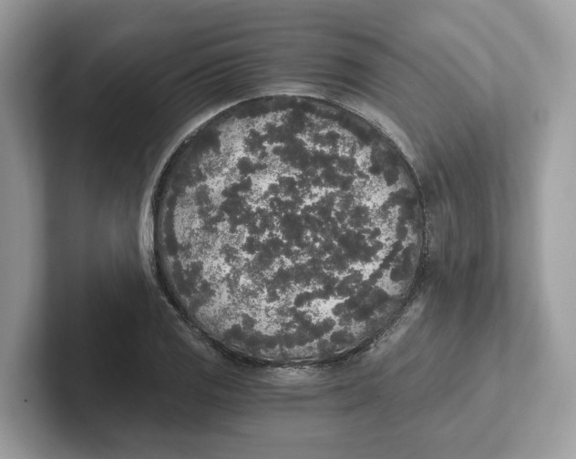 X0000101461125200807280954