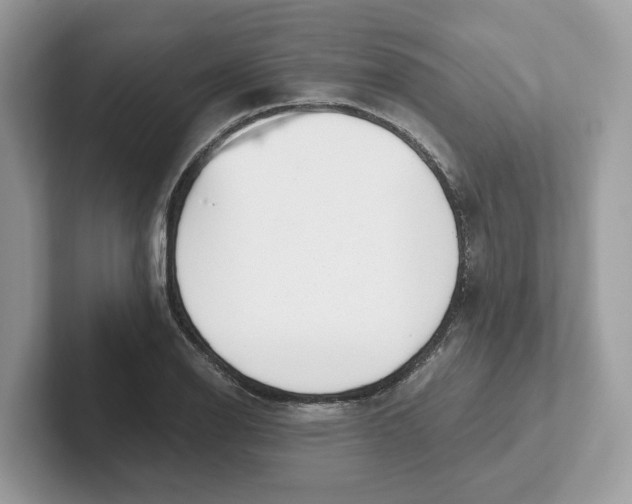 X0000101461126200807280954