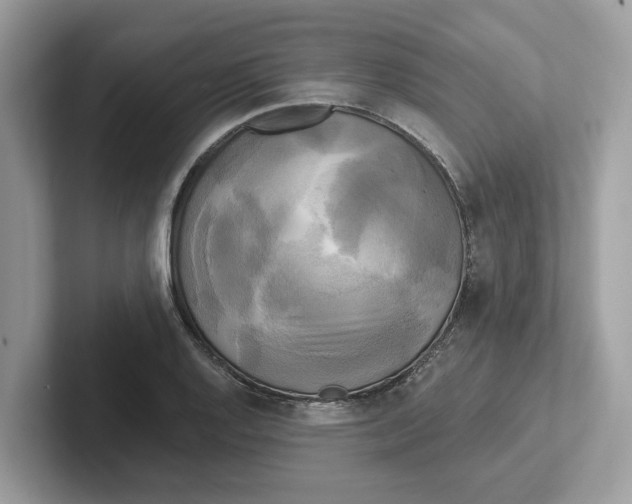 X0000101461128200807280954