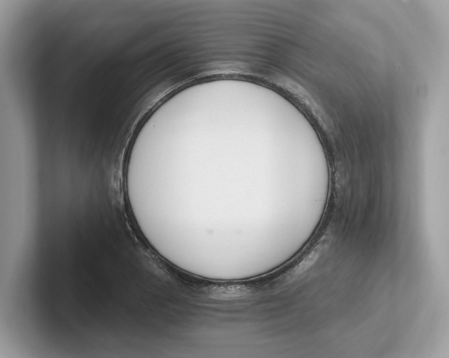 X0000101461129200807280954