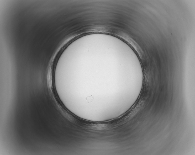 X0000101461131200807280954