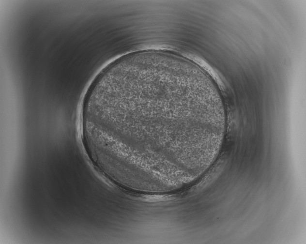 X0000101461132200807280954