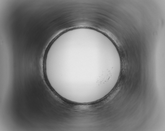 X0000101461134200807280954