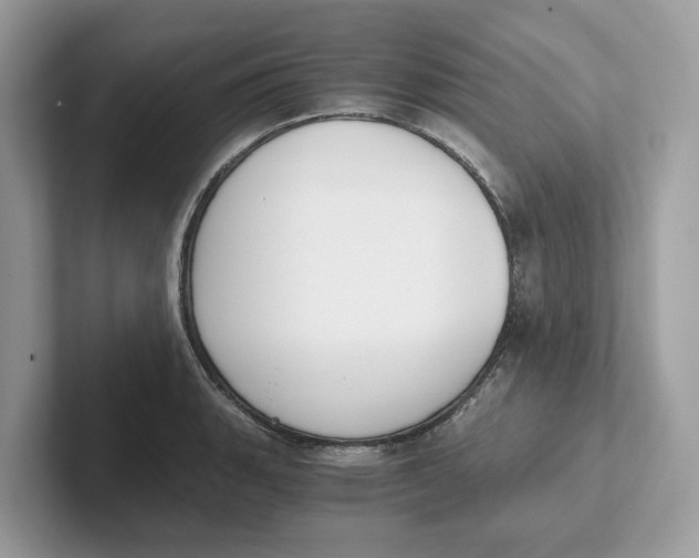 X0000101461135200807280954