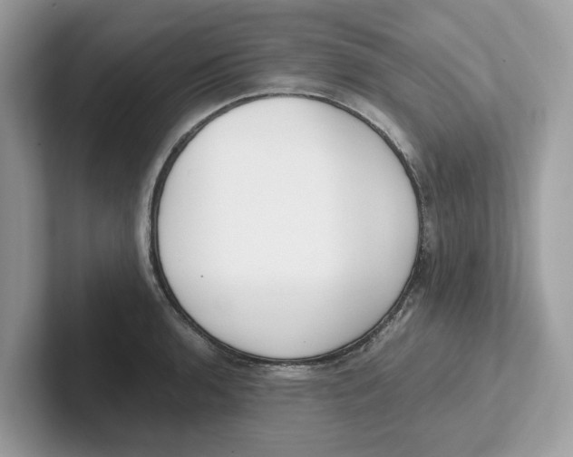 X0000101461136200807280954