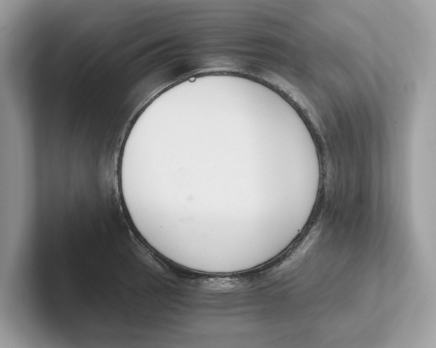 X0000101461137200807280954