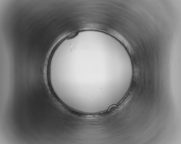 X0000101461138200807280954