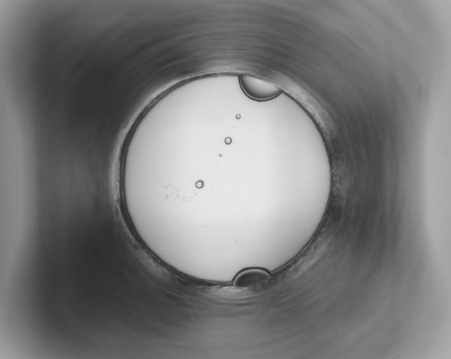 X0000101461140200807280954