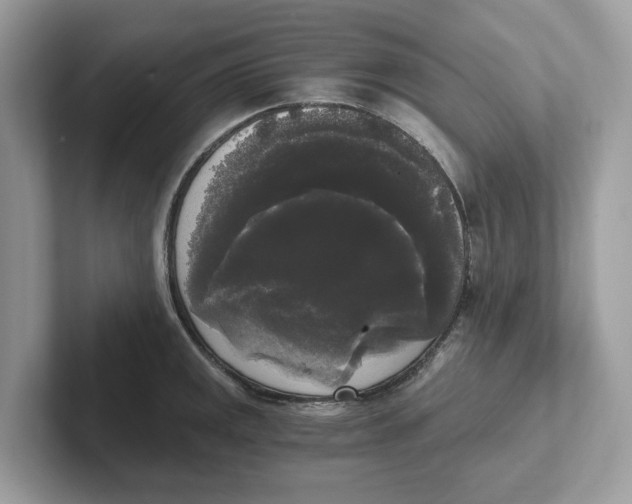 X0000101461141200807280954